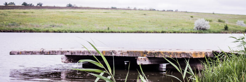 PIRANHAS BAITS TOP TEN MONSTERS