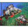Килимок з окунем Delphin 3D perches rug / 60x40см