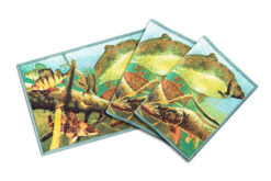 Килимок Delphin AQUA rug / 60x40см