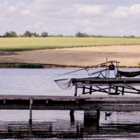Калейдоскоп емоцій, або участь в Турнірі «Crazy Carp Best оf 15 Fish» оз.Крута Балка 21-27.07.2024
