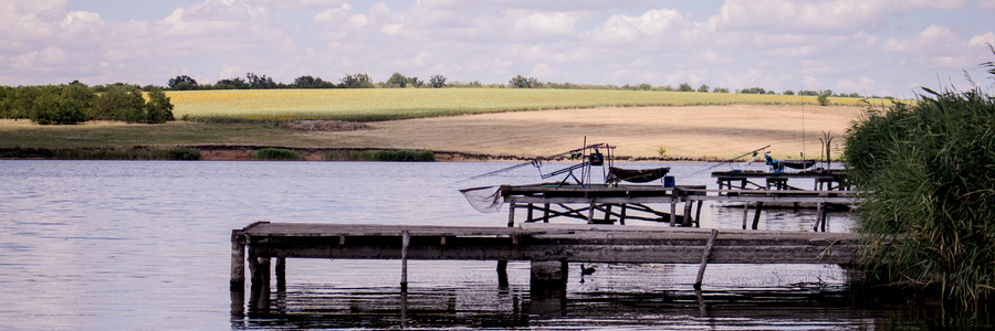 Калейдоскоп емоцій, або участь в Турнірі «Crazy Carp Best оf 15 Fish» оз.Крута Балка 21-27.07.2024