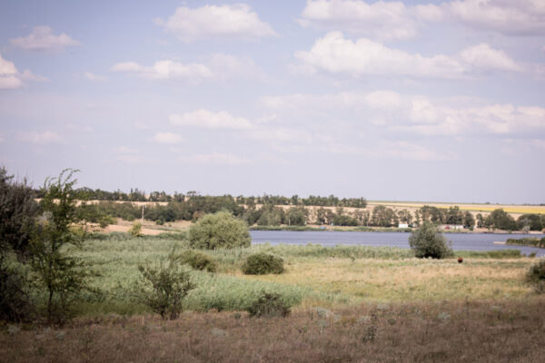 Калейдоскоп емоцій, або участь в Турнірі «Crazy Carp Best оf 15 Fish» оз.Крута Балка 21-27.07.2024