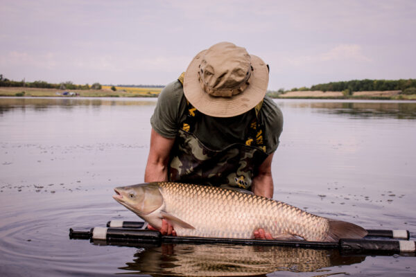 Калейдоскоп емоцій, або участь в Турнірі «Crazy Carp Best оf 15 Fish» оз.Крута Балка 21-27.07.2024