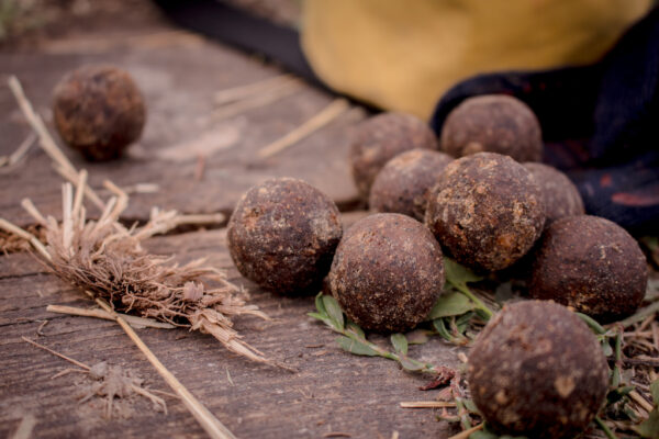 Калейдоскоп емоцій, або участь в Турнірі «Crazy Carp Best оf 15 Fish» оз.Крута Балка 21-27.07.2024