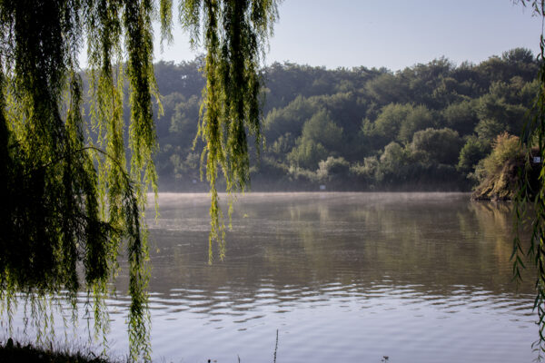 Калейдоскоп емоцій, або участь в Турнірі «Crazy Carp Best оf 15 Fish» оз.Крута Балка 21-27.07.2024