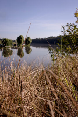 Калейдоскоп емоцій, або участь в Турнірі «Crazy Carp Best оf 15 Fish» оз.Крута Балка 21-27.07.2024