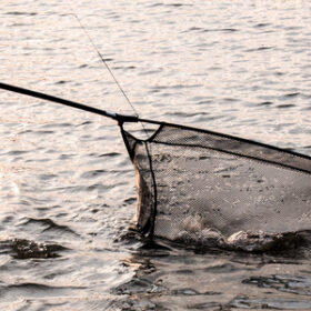 Знову аномалія??? Турнір «Carp Monsters Marathon» оз. Уляники