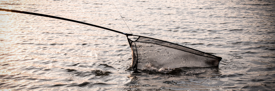 Знову аномалія??? Турнір «Carp Monsters Marathon» оз. Уляники