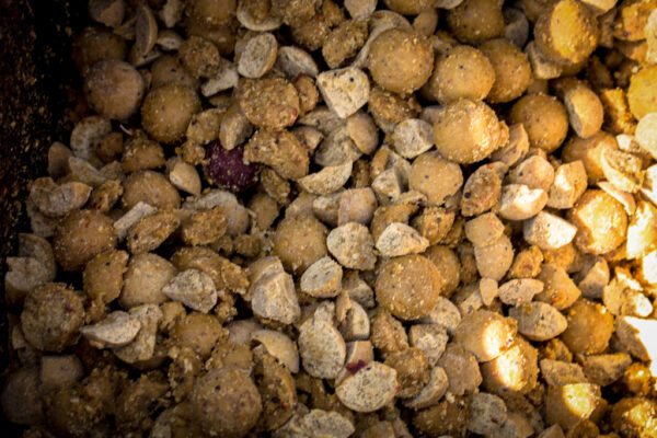 «Озеро Кунка – Перше знайомство»