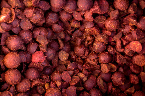 «Озеро Кунка – Перше знайомство»