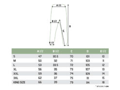 Спортивні штани Delphin LOGOS