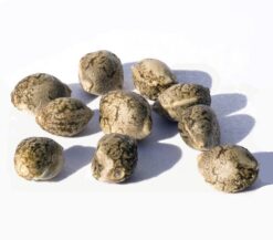 Зерно коноплі технічної