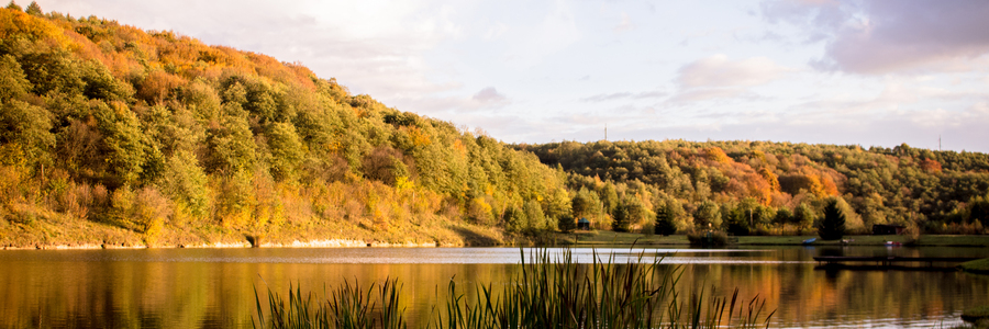 Закриття сезону з людиною яка привела мене в карпфішинг. Або полювання на прісноводних «динозаврів»