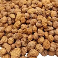 Горіх тігровий (чуфа)